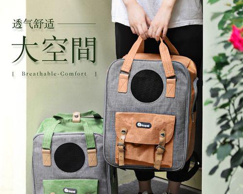 带猫外出的区别（室内和户外环境的对比及适用条件）