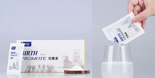 怀孕的狗狗需要饮食上的特殊照顾（宠物狗狗怀孕期间应该吃什么？）