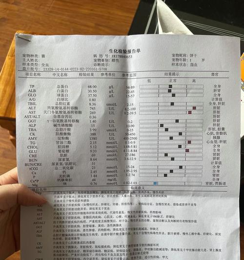 生化alt检查及其临床应用（深入解析生化alt检查在临床诊断中的作用与意义）