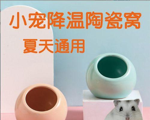 仓鼠夏天不吃东西的原因及应对方法（揭秘仓鼠夏季进食难题，帮你解决宠物饮食困扰）