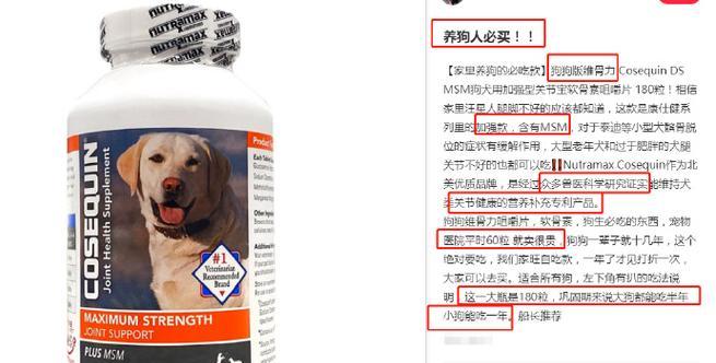 狗狗的健康需要——补充适当的营养品（狗狗的健康关键在于合理补充营养品）