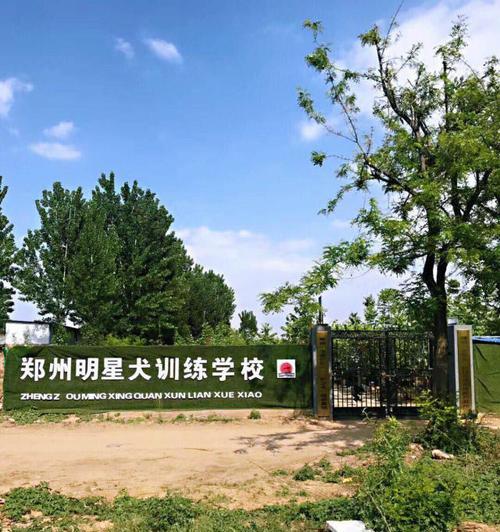 郑州正规犬舍盛行，宠物爱好者的首选（探寻郑州市内正规犬舍，提供安全、健康的宠物购买环境）