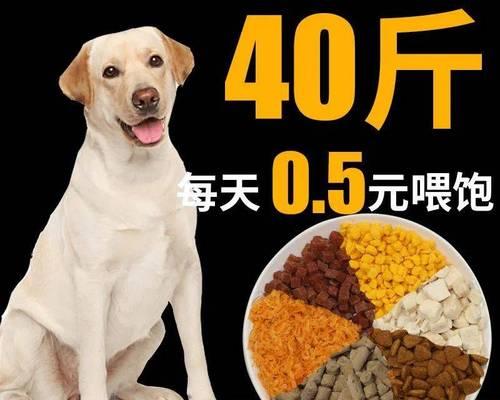 拉布拉多犬的最佳狗粮选择（挑选适合拉布拉多的狗粮，关键在于成分和品牌的选择）