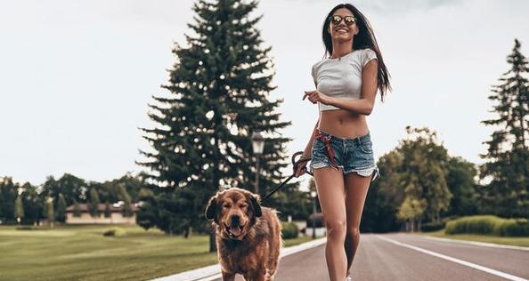 如何剪掉狗狗脚掌的毛（简易方法让你的狗狗舒适又整洁）