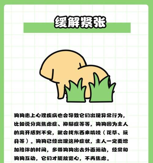 帮助狗催吐的方法（安全有效的催吐技巧与注意事项）