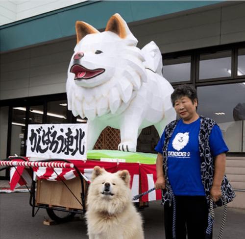 秋田喜欢的人对他做的事情（以关心、支持和呵护为主题的爱情故事）