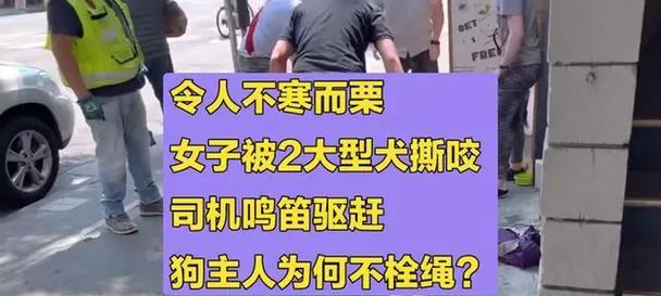 狗狗为什么会咬主人？（探索狗狗咬主人的原因和解决办法）