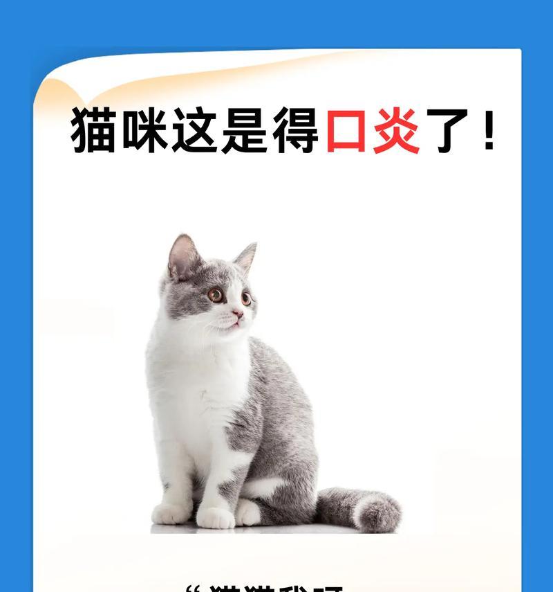 探索猫口炎的原因和治疗方法（了解猫口炎的症状、预防与治疗手段）