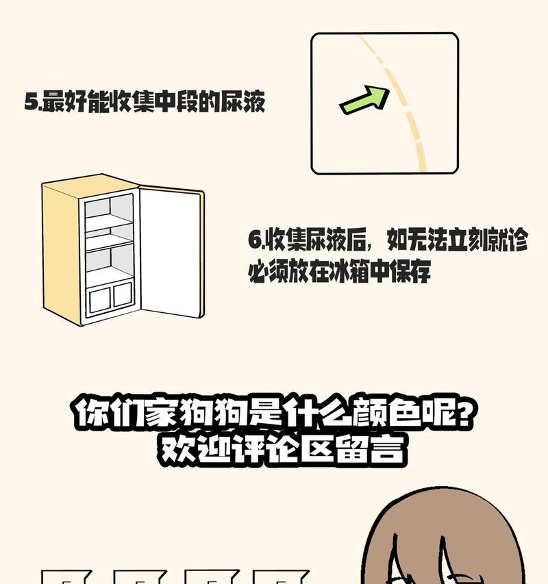 为什么狗狗会往床上尿尿？（探究狗狗尿床的原因及解决方法）