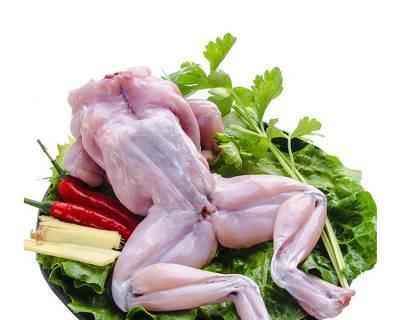 龙鱼饲养的冷冻食品选择与技巧（以冷冻产品为主要饲料供应，让龙鱼健康成长）