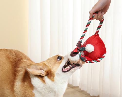 玩具般可爱的犬狗——迷你型犬品种介绍（探索迷你犬狗的世界，发现与玩具无异的宠物伙伴）