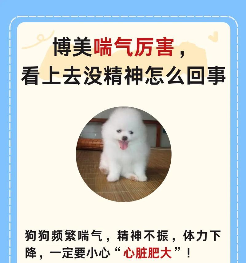 狗狗呼吸急促可能的原因及处理方法