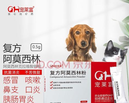 狗狗发烧吐吃什么药？解决方法揭秘（应对狗狗发烧吐吃的最佳药物及护理方法）