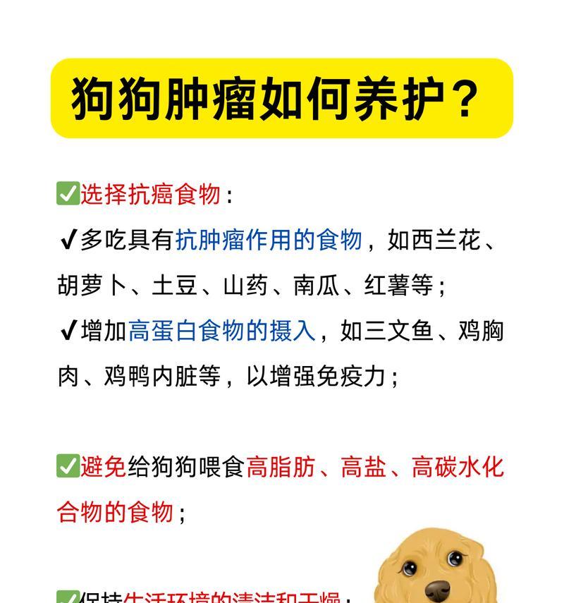 狗狗肿瘤治疗药物指南（肿瘤治疗药物选择及注意事项）