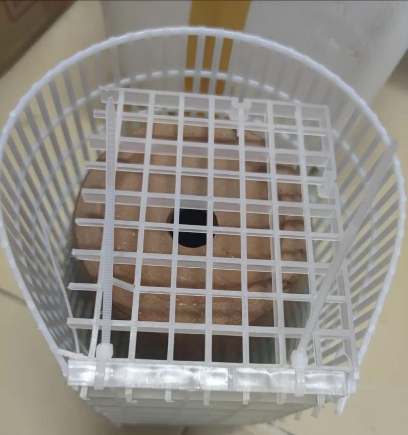 选择适合龟缸的垫材是关键（为你的龟缸提供舒适和安全的环境）