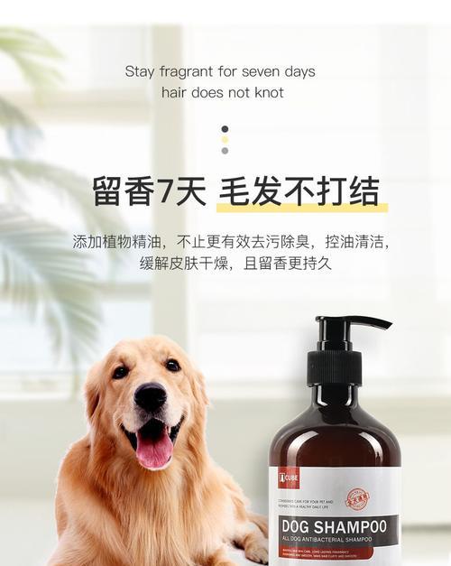 选择合适的洗澡用品，让你的英短宠物健康干净（英短洗澡用什么？选对产品关键在于宠物的肤质和需求）