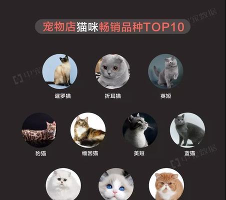 宠物店的发展现状及前景展望（揭开宠物店行业的商机与挑战，探寻未来发展之路）