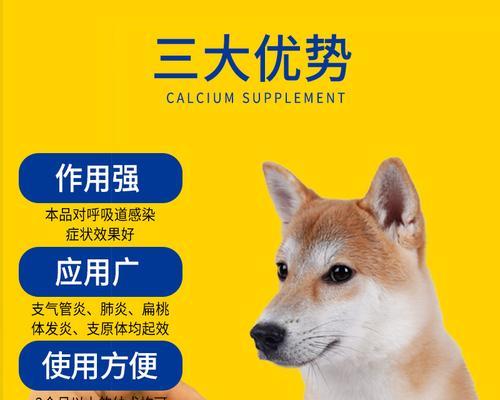 小狗咳嗽有点鼻涕怎么办？（药物治疗是最有效的方法）