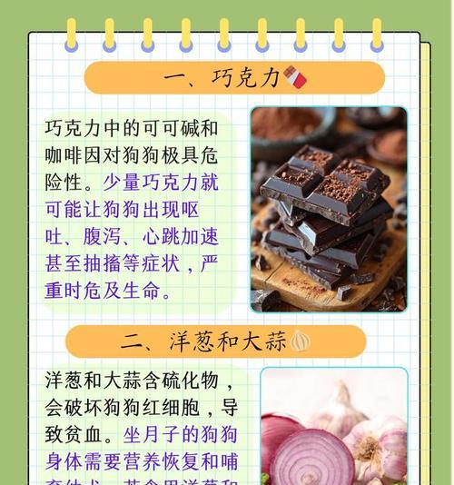 小狗吃什么不拉肚子？（探索健康的狗粮选择，让您的小狗远离肠胃问题）
