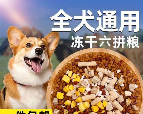 小萨摩吃什么牌子的狗粮最好？（选择适合小萨摩的营养均衡狗粮的重要性）