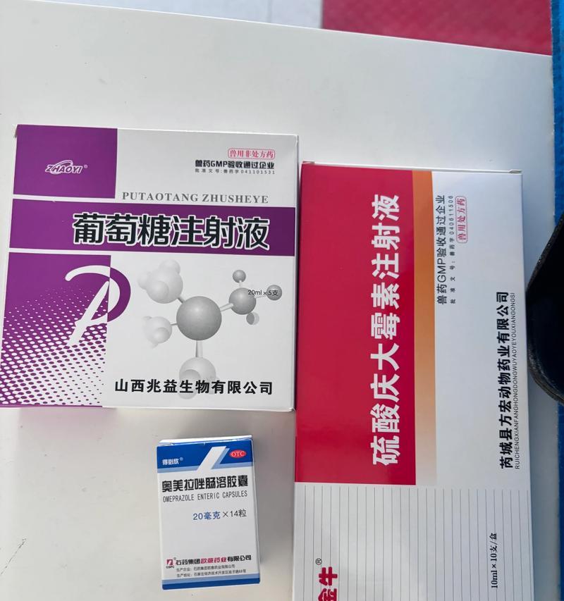 以狗吐打什么药？（药物选择及使用注意事项）
