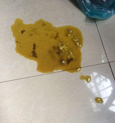 小狗大便变少的原因及处理方法（探究小狗大便减少的因素和解决方案）