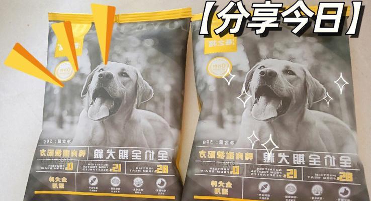 五个月博美犬的饮食指南（健康成长所需的狗粮选择与喂养方法）