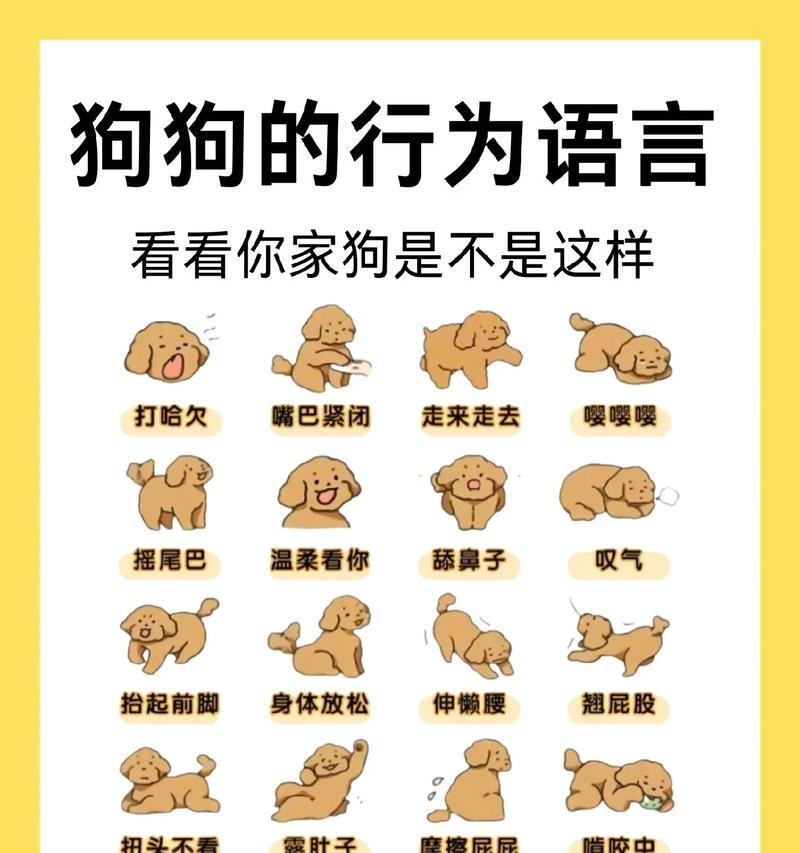 狗咳嗽的原因与手术后的处理方法（揭秘狗咳嗽的真相，告诉你如何帮助手术后的狗犬缓解咳嗽困扰）
