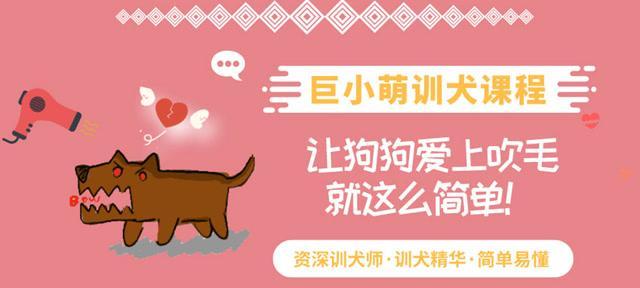 从小怕狗的原因及克服方法（从恐惧到友善，小狗是我最好的伙伴）