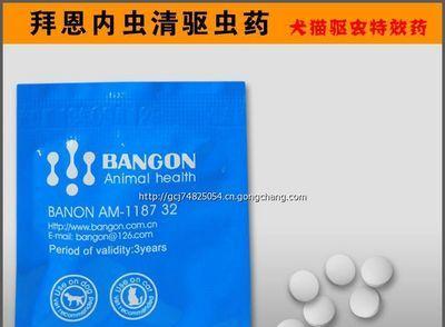 喂萨摩驱虫药的最佳时机（选择合适的时间给你的萨摩喂药，有效预防虫害）