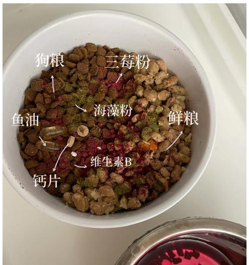 拉布拉多换牙期间的合适饮食（为你的拉布拉多提供适宜的食物，促进换牙过程）
