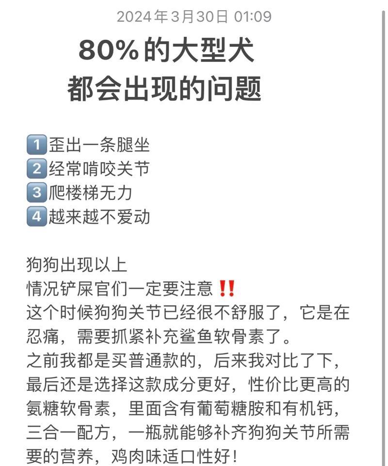 狗狗补品（了解狗狗所需的补品，为它们提供最佳的营养）