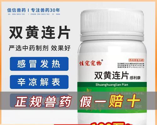 狗狗咳嗽，应该用什么药物？（了解狗狗咳嗽的原因和常见药物选择）