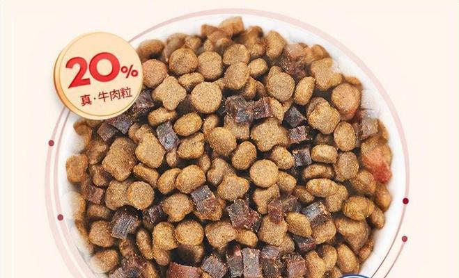 狗怀孕前50天的饮食保健指南（给母狗提供足够的营养和护理，为健康的繁殖打下基础）