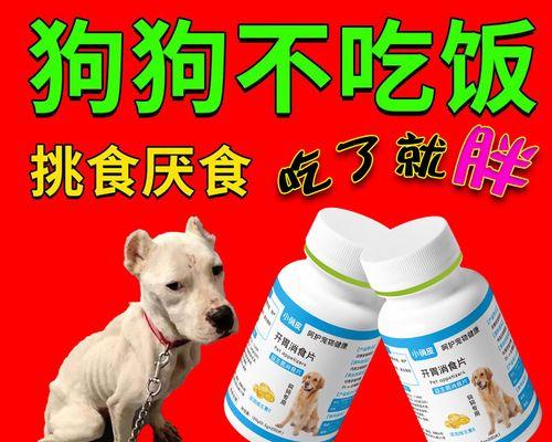 探讨狗狗不吃饭的原因（为什么我的狗狗不吃饭？）