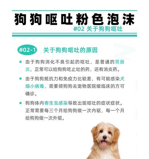 狗狗胃肠炎（胃肠炎症状、治疗方法及预防措施）