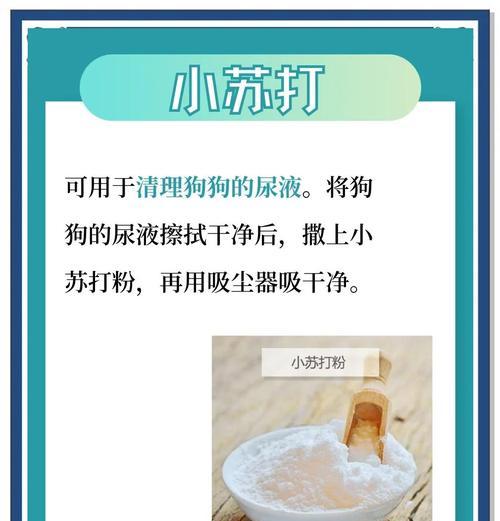 狗尿气味的消除时间（狗尿气味的化学成分、环境因素与有效清除方法）