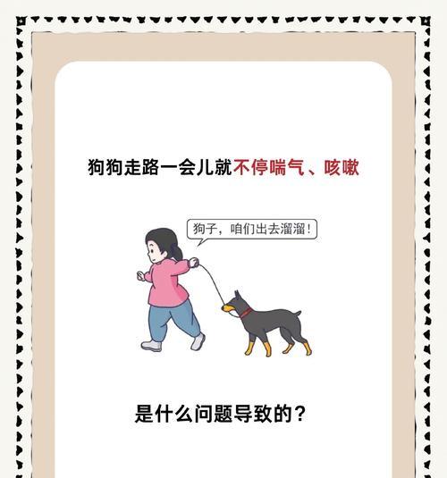 狗狗的5大致命疾病，铲屎官们要注意了！（盘点那些可导致狗狗丧命的疾病，让我们为它们提供更好的保护）