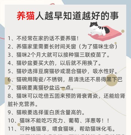 新手养猫必须知道的5个重点事项（初养猫族的福音，帮你搞定养猫小白）