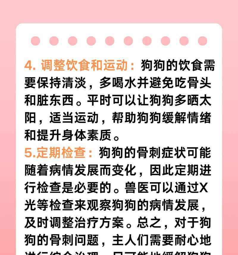 幼狗补充钙片的合理时间和方法（幼狗补充钙片的注意事项及建议）