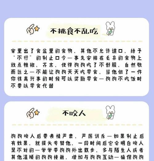 如何纠正泰迪挑食问题（15个有效的方法帮助养宠小白战胜挑食）