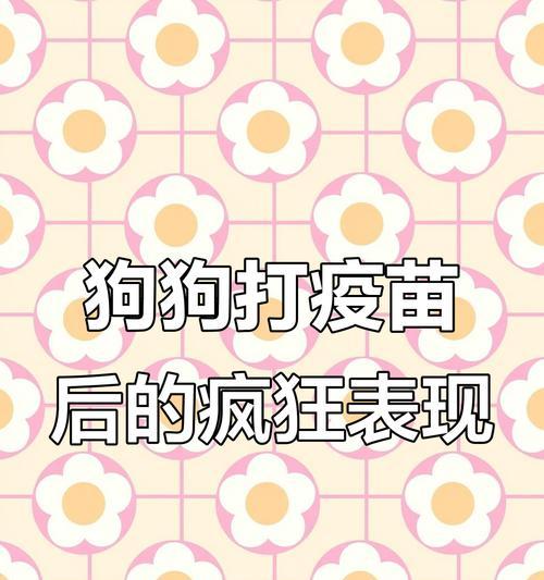 狗疫苗后的常见不良反应及处理方法（保护宠物健康，关注疫苗后的反应）