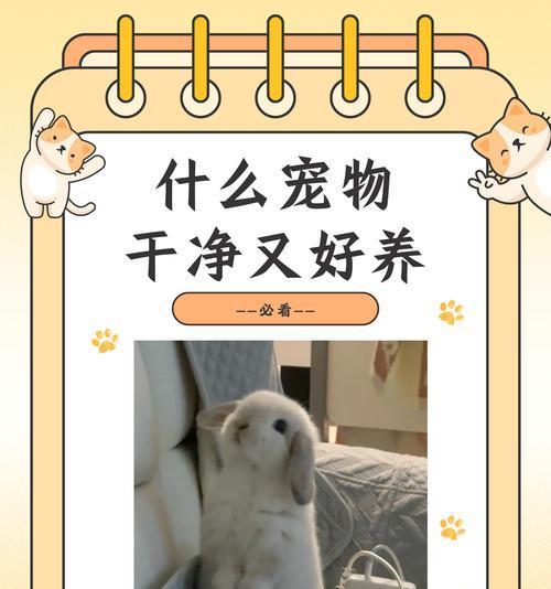 小型好养宠物推荐（适合都市生活的可爱小伙伴）