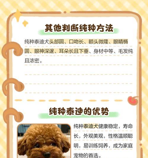 如何正确给泰迪犬修剪指甲（注意事项及技巧，让你的泰迪犬安全愉快地修剪指甲）