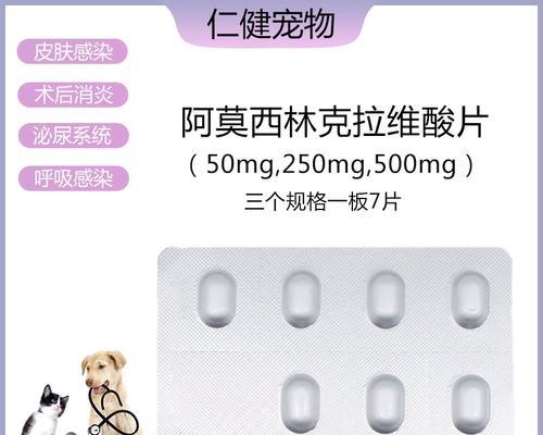 狗狗的消炎药有哪些选择？（了解狗狗消炎药的种类和用途，保护你的宠物免受炎症的困扰）