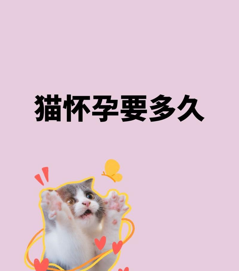 猫咪交配后多久生小猫的奥秘（猫咪繁殖周期和孕期发展的关键）
