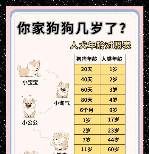 揭秘狗狗成长之谜（通过三个关键指标了解狗狗的成长潜力）