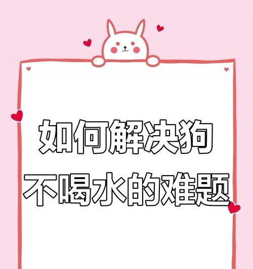 幼犬应该多久不喝水？（了解幼犬饮水需求，做好养护）