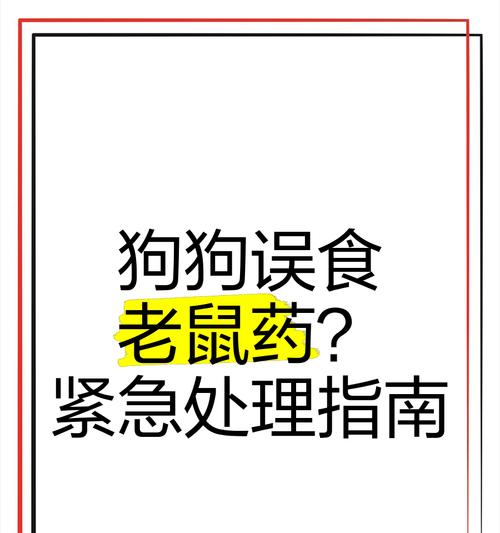 狗吃完老鼠药多久会死？（了解狗吃完老鼠药后的生死情况及应对方法）