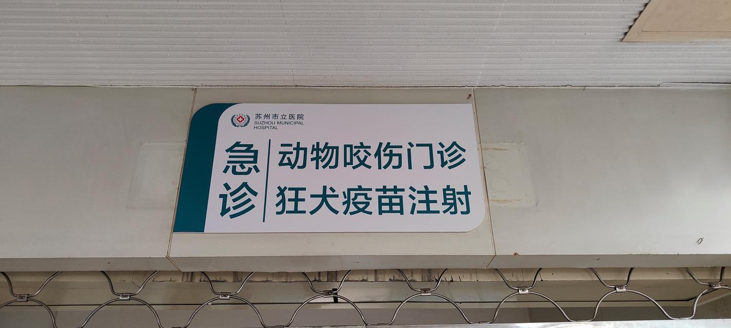 宠物咬伤后多久打针？（保护您和宠物的关键时刻）